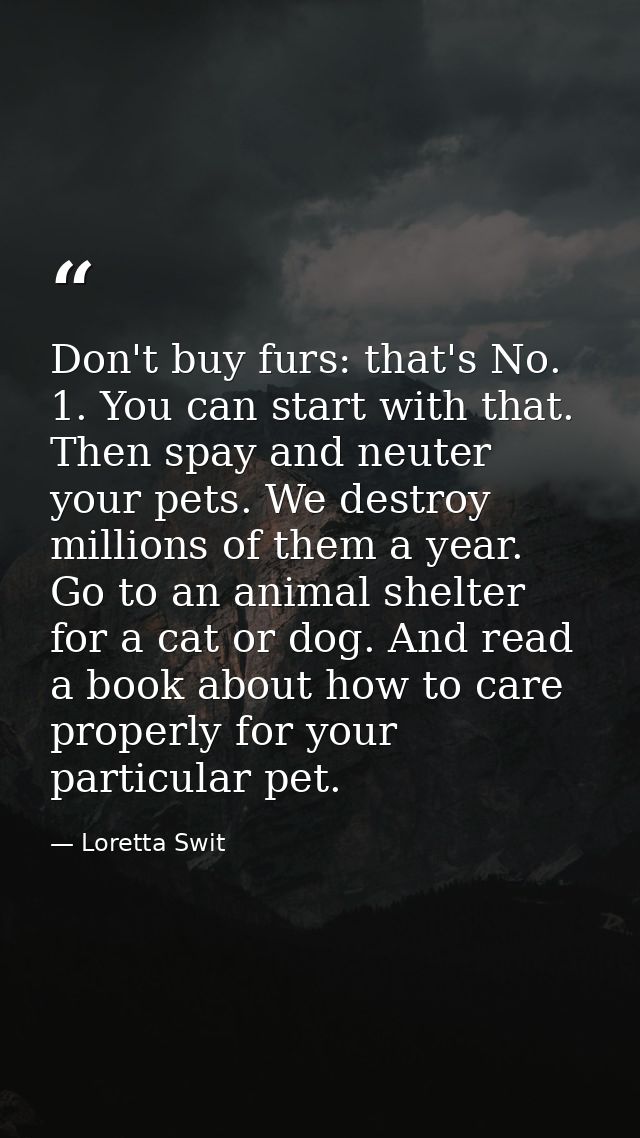 Don't buy furs: that's No. 1. You can start with that. Then spay and neuter your pets. We destroy millions of them a yea — Loretta Swit
