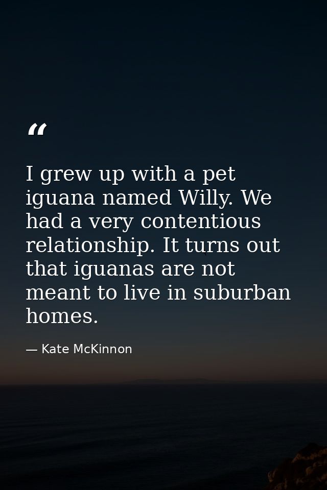 I grew up with a pet iguana named Willy. We had a very contentious relationship. It turns out that iguanas are not meant — Kate McKinnon