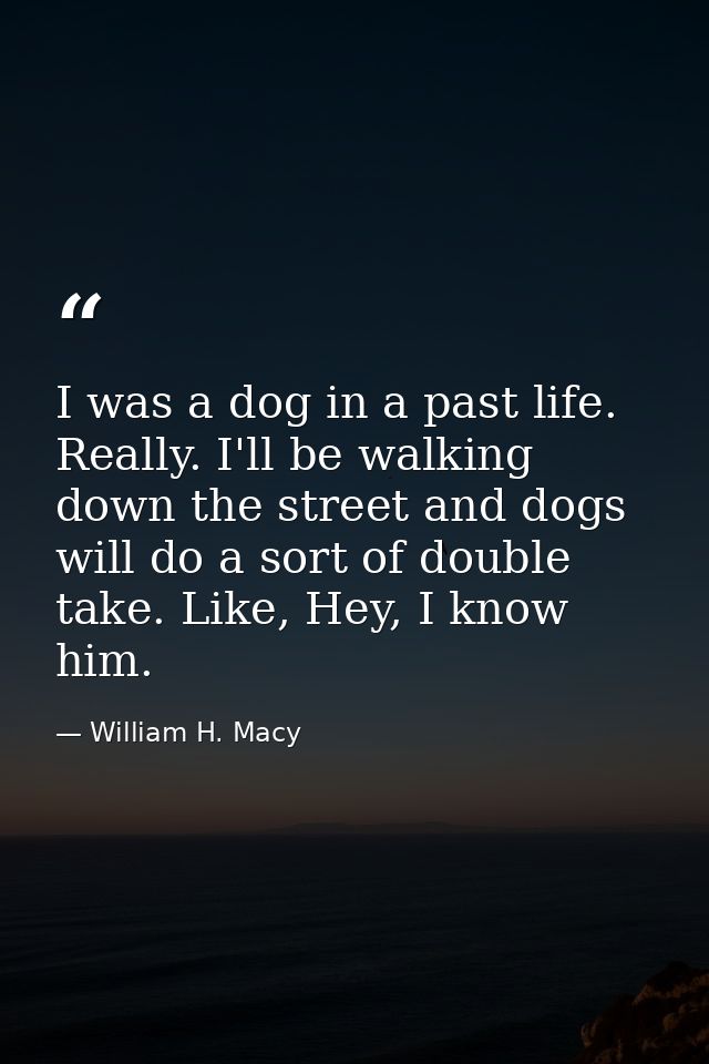 I was a dog in a past life. Really. I'll be walking down the street and dogs will do a sort of double take. Like, Hey, I — William H. Macy