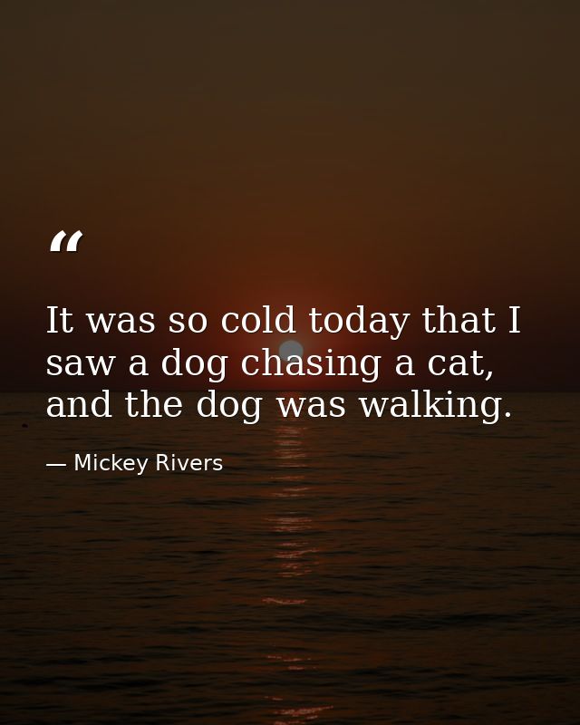 It was so cold today that I saw a dog chasing a cat, and the dog was walking. — Mickey Rivers