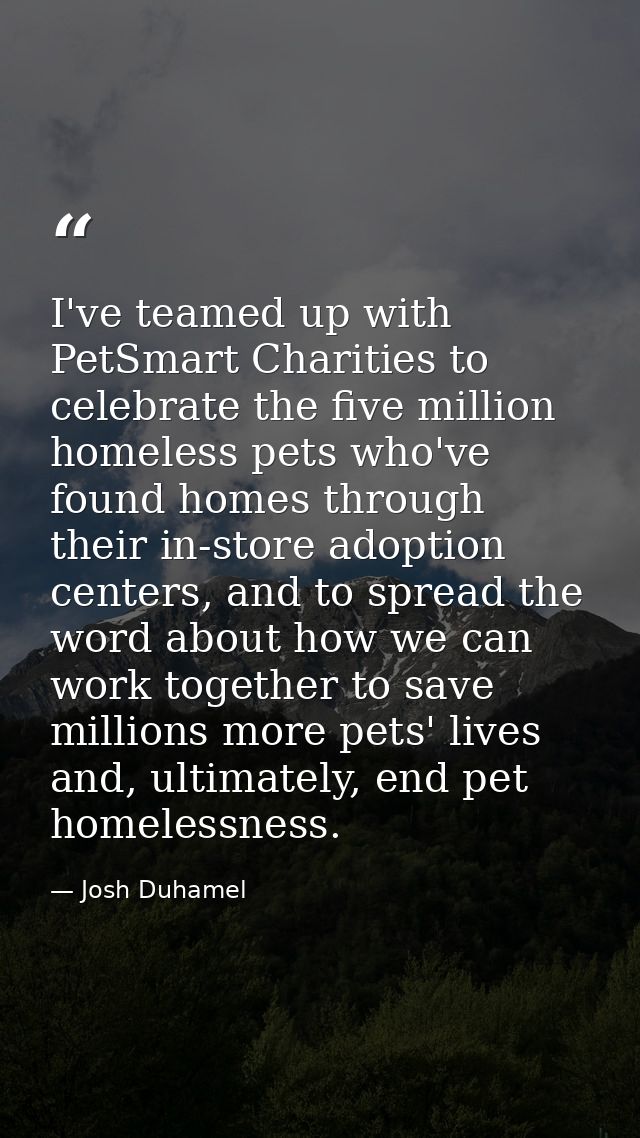 I've teamed up with PetSmart Charities to celebrate the five million homeless pets who've found homes through their in-s — Josh Duhamel