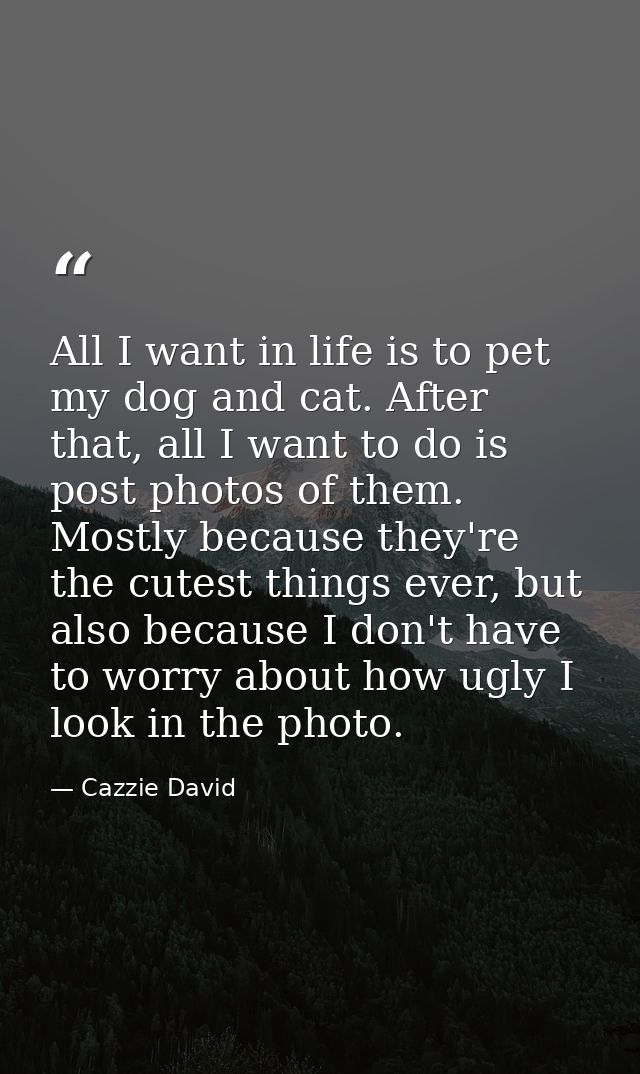 All I want in life is to pet my dog and cat. After that, all I want to do is post photos of them. Mostly because they're — Cazzie David