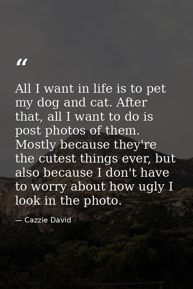 All I want in life is to pet my dog and cat. After that, all I want to do is post photos of them. Mostly because they're — Cazzie David