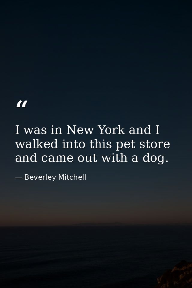 I was in New York and I walked into this pet store and came out with a dog. — Beverley Mitchell