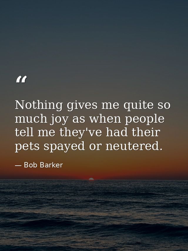 Nothing gives me quite so much joy as when people tell me they've had their pets spayed or neutered. — Bob Barker