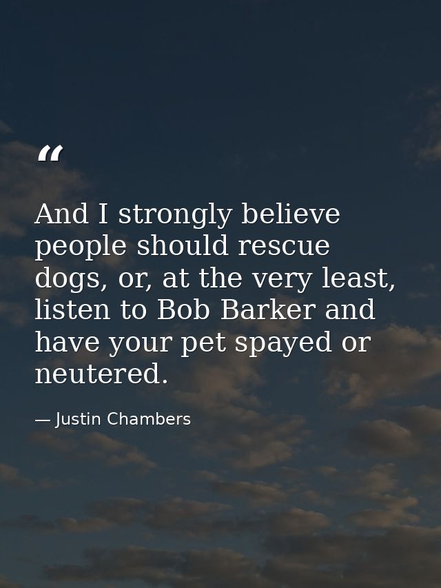 And I strongly believe people should rescue dogs, or, at the very least, listen to Bob Barker and have your pet spayed o — Justin Chambers