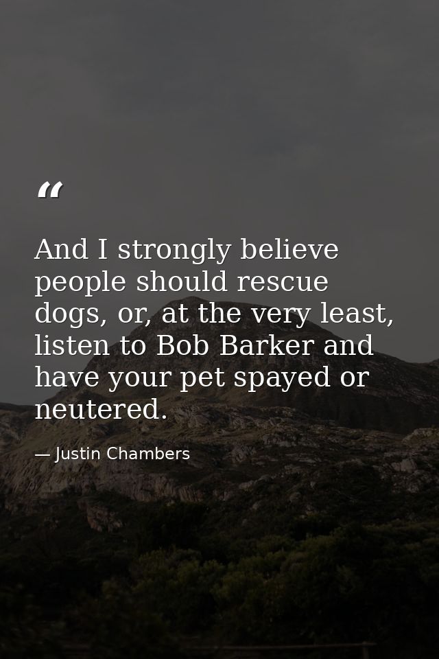 And I strongly believe people should rescue dogs, or, at the very least, listen to Bob Barker and have your pet spayed o — Justin Chambers