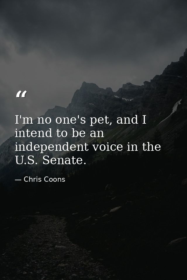 I'm no one's pet, and I intend to be an independent voice in the U.S. Senate. — Chris Coons