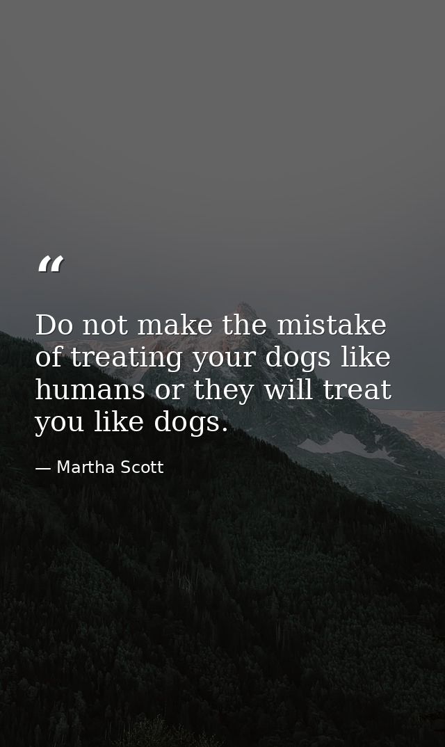 Do not make the mistake of treating your dogs like humans or they will treat you like dogs. — Martha Scott