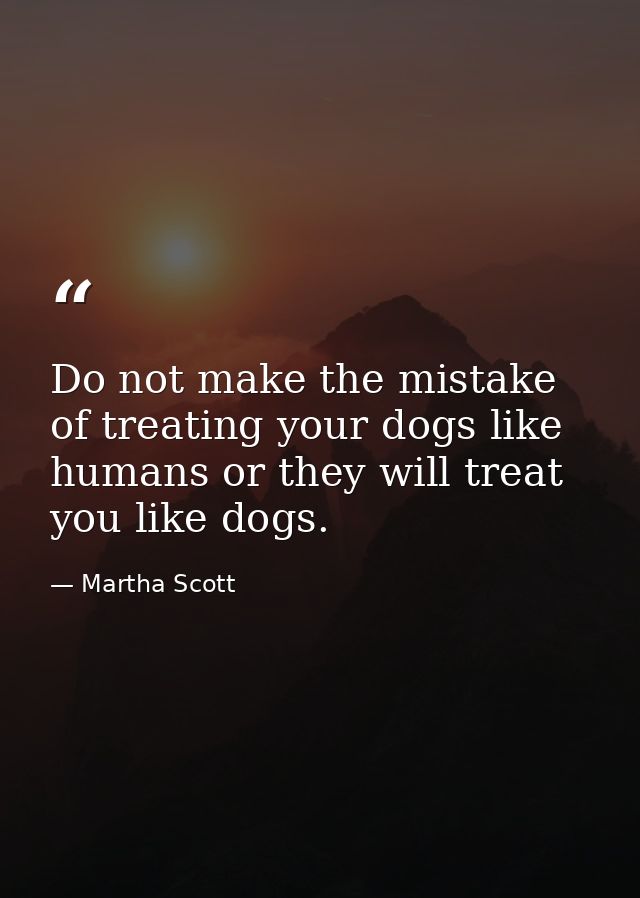 Do not make the mistake of treating your dogs like humans or they will treat you like dogs. — Martha Scott