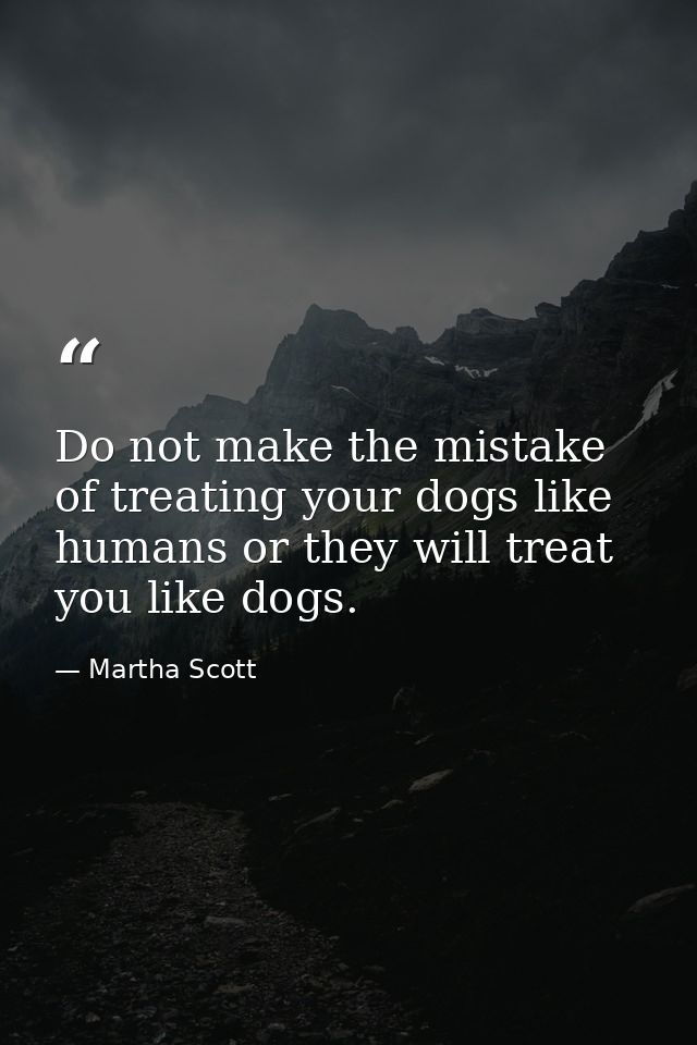 Do not make the mistake of treating your dogs like humans or they will treat you like dogs. — Martha Scott