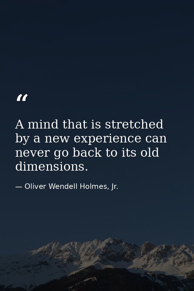 A mind that is stretched by a new experience can never go back to its old dimensions. — Oliver Wendell Holmes, Jr.