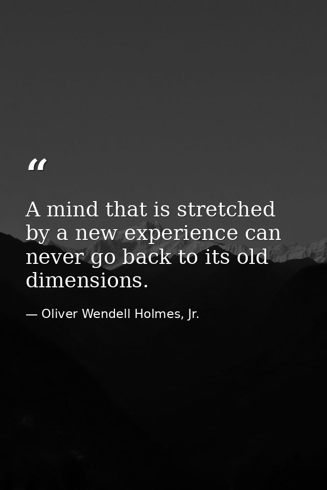 A mind that is stretched by a new experience can never go back to its old dimensions. — Oliver Wendell Holmes, Jr.
