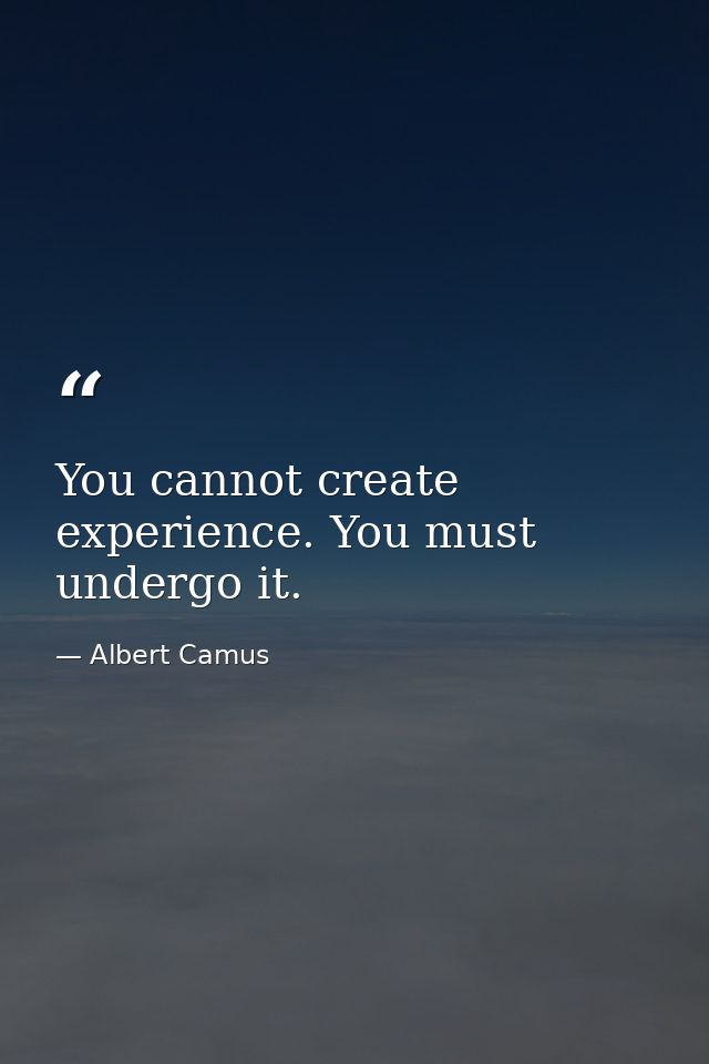 You cannot create experience. You must undergo it. — Albert Camus