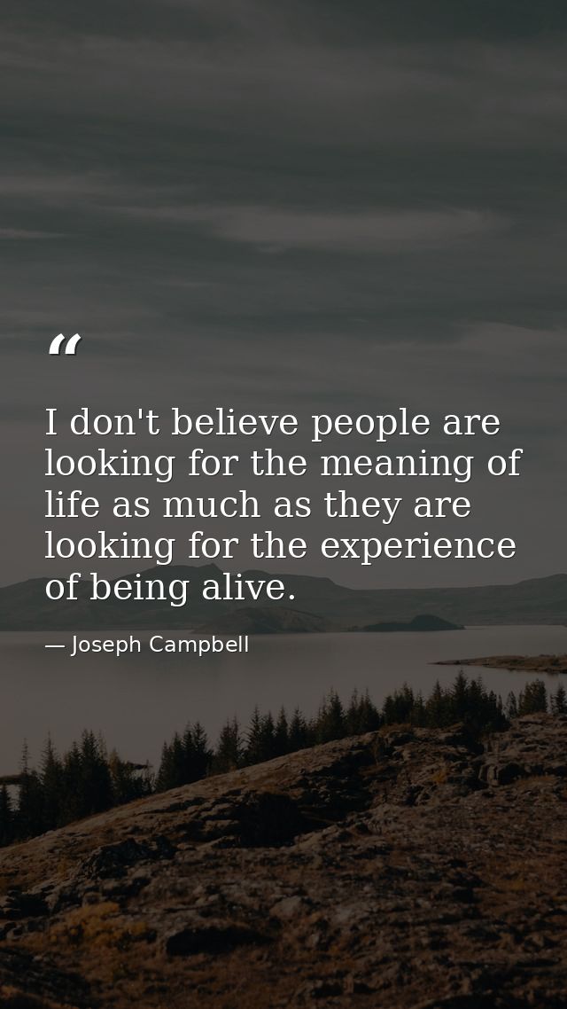 I don't believe people are looking for the meaning of life as much as they are looking for the experience of being alive — Joseph Campbell