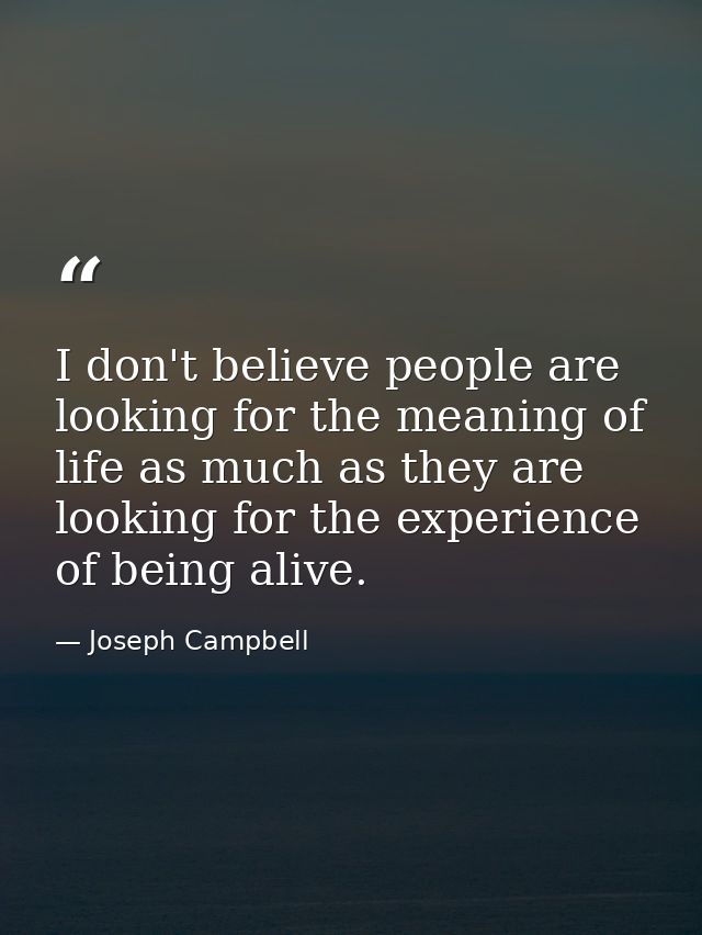 I don't believe people are looking for the meaning of life as much as they are looking for the experience of being alive — Joseph Campbell
