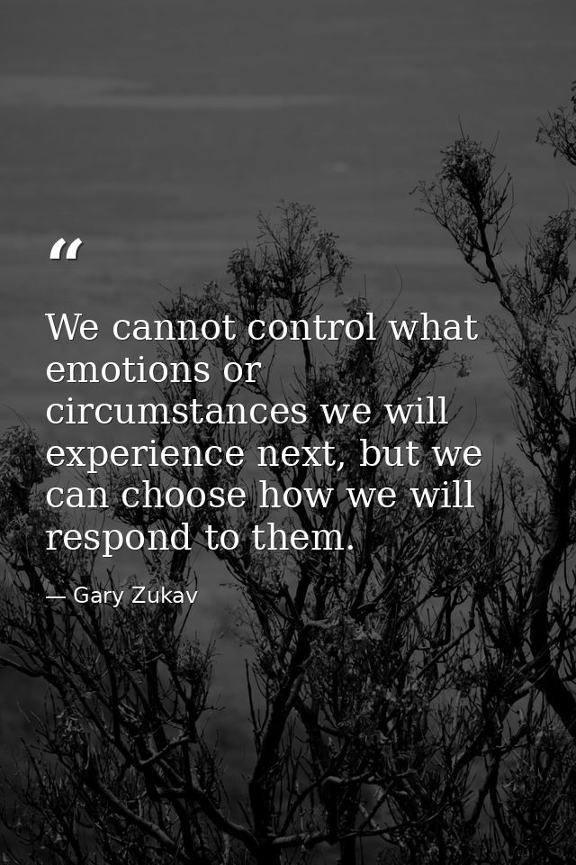 We cannot control what emotions or circumstances we will experience next, but we can choose how we will respond to them. — Gary Zukav