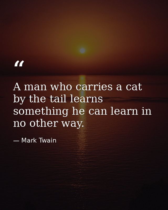 A man who carries a cat by the tail learns something he can learn in no other way. — Mark Twain