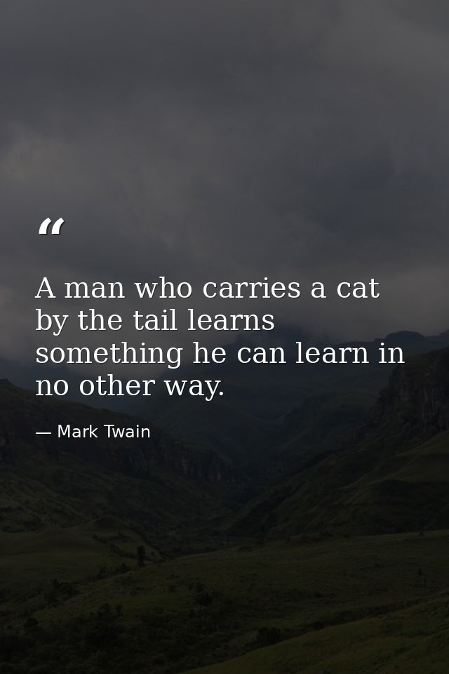 A man who carries a cat by the tail learns something he can learn in no other way. — Mark Twain