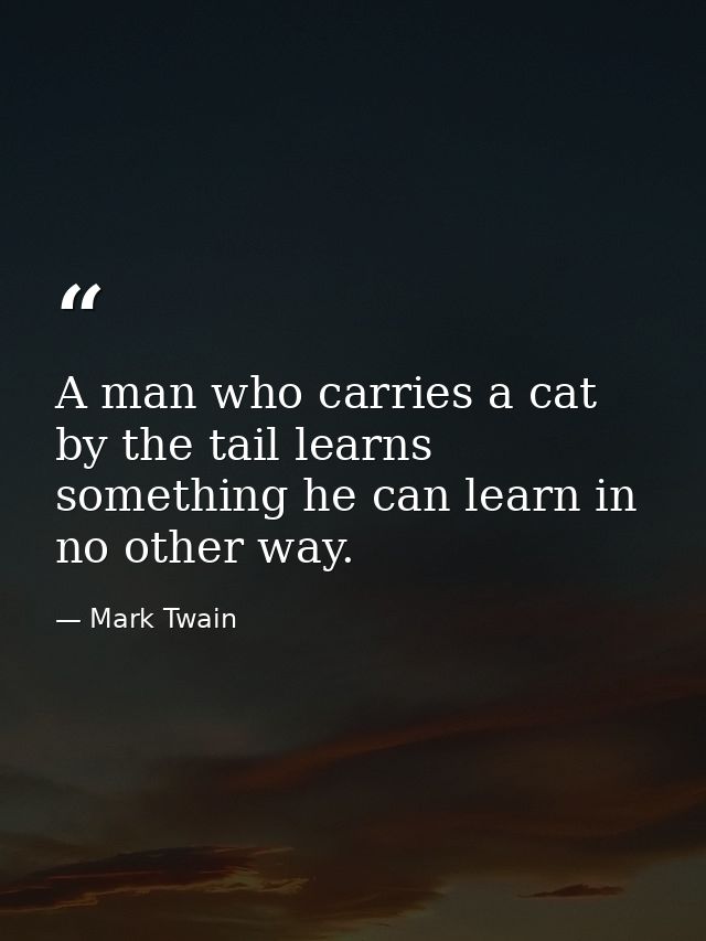 A man who carries a cat by the tail learns something he can learn in no other way. — Mark Twain