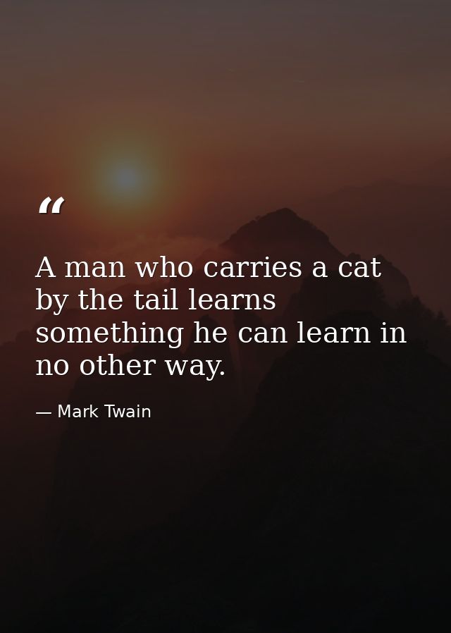 A man who carries a cat by the tail learns something he can learn in no other way. — Mark Twain
