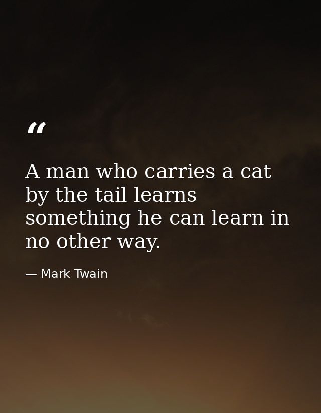 A man who carries a cat by the tail learns something he can learn in no other way. — Mark Twain