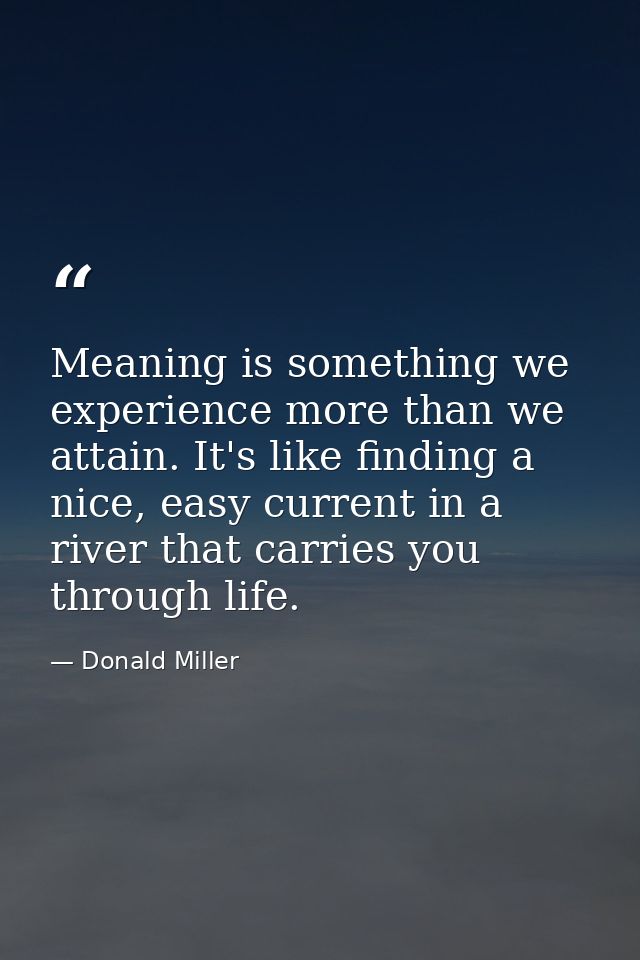 Meaning is something we experience more than we attain. It's like finding a nice, easy current in a river that carries y — Donald Miller