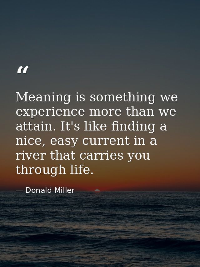 Meaning is something we experience more than we attain. It's like finding a nice, easy current in a river that carries y — Donald Miller