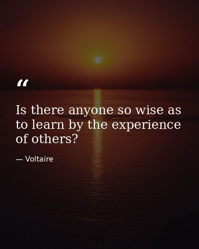 Is there anyone so wise as to learn by the experience of others? — Voltaire