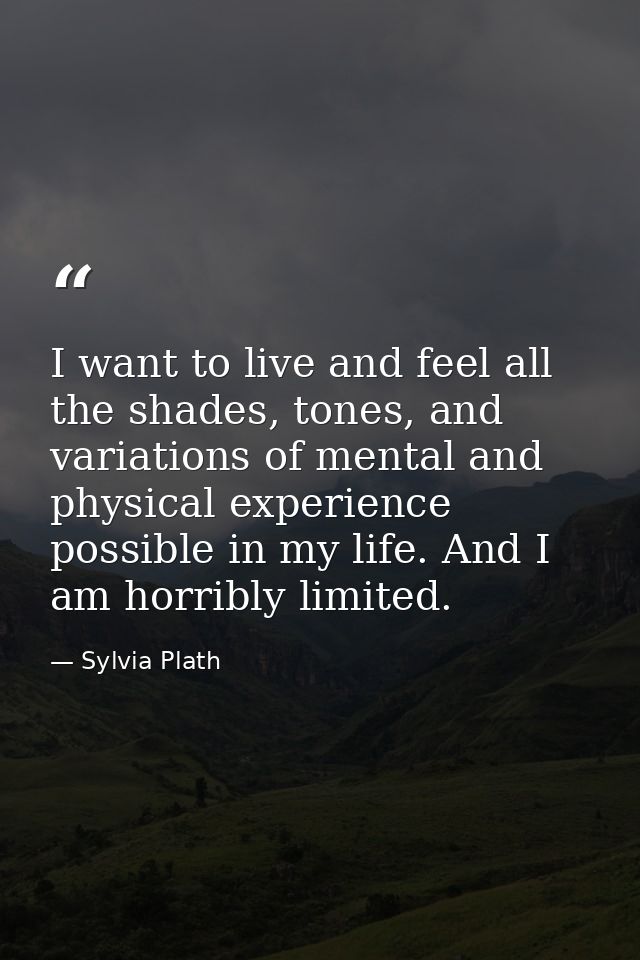 I want to live and feel all the shades, tones, and variations of mental and physical experience possible in my life. And — Sylvia Plath