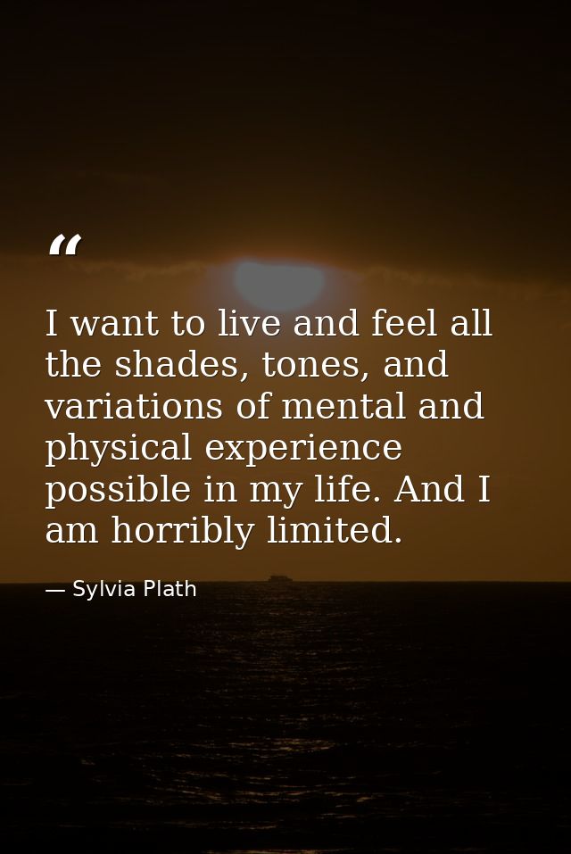 I want to live and feel all the shades, tones, and variations of mental and physical experience possible in my life. And — Sylvia Plath