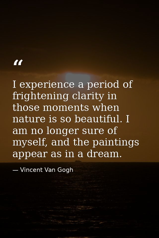 I experience a period of frightening clarity in those moments when nature is so beautiful. I am no longer sure of myself — Vincent Van Gogh