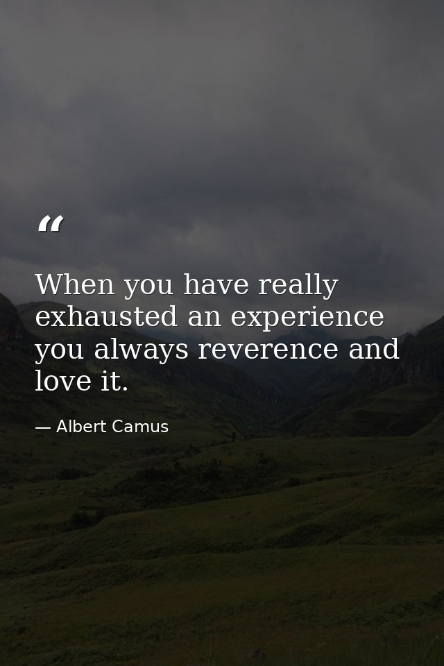 When you have really exhausted an experience you always reverence and love it. — Albert Camus