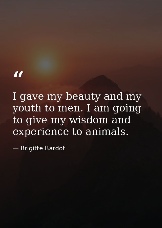 I gave my beauty and my youth to men. I am going to give my wisdom and experience to animals. — Brigitte Bardot