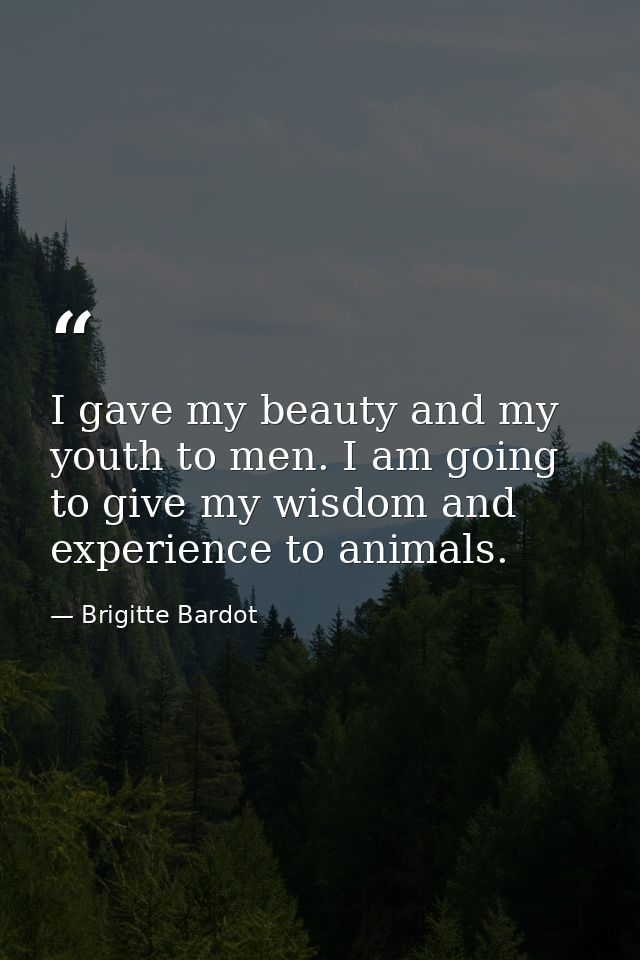 I gave my beauty and my youth to men. I am going to give my wisdom and experience to animals. — Brigitte Bardot