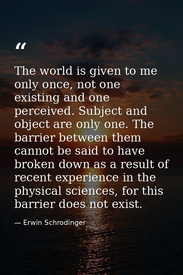 The world is given to me only once, not one existing and one perceived. Subject and object are only one. The barrier bet — Erwin Schrodinger