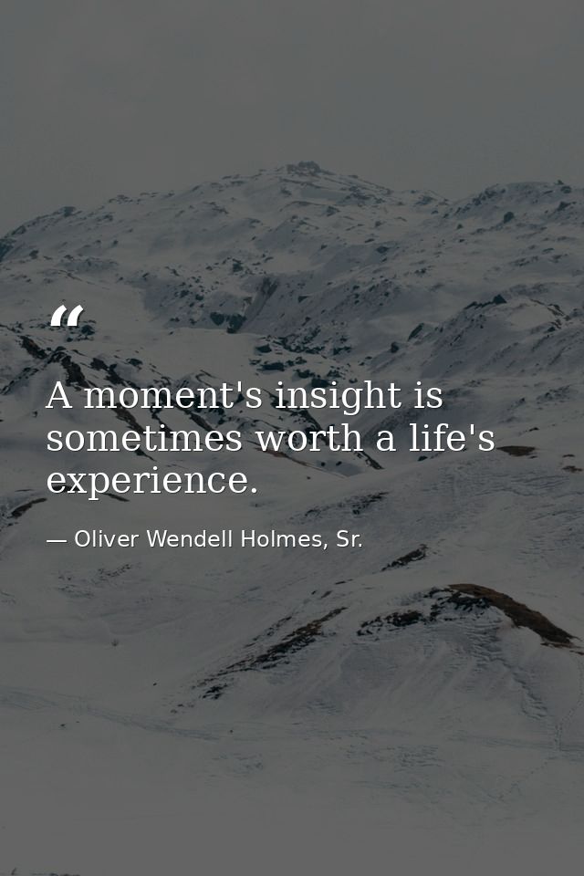 A moment's insight is sometimes worth a life's experience. — Oliver Wendell Holmes, Sr.