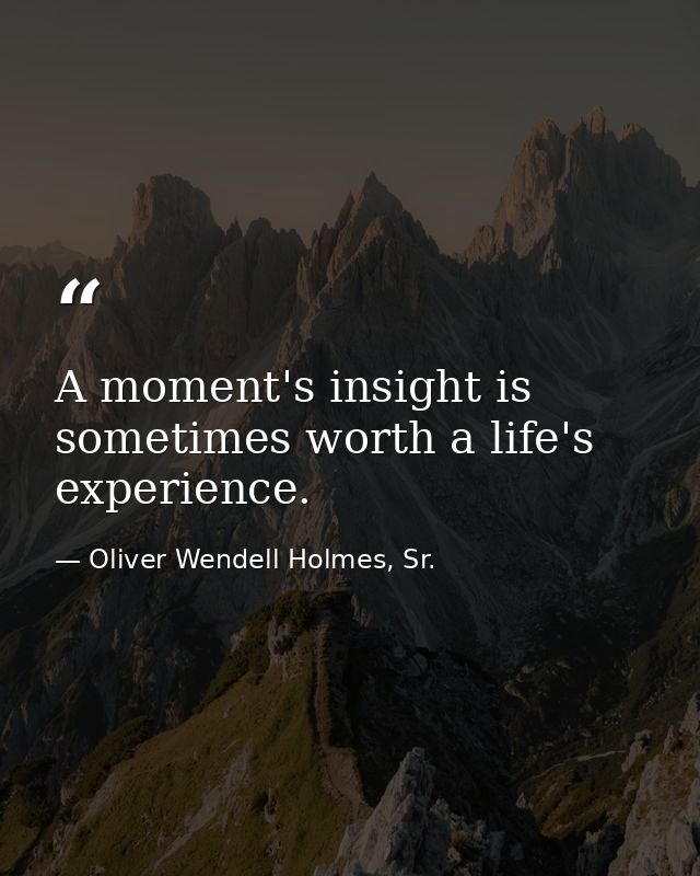 A moment's insight is sometimes worth a life's experience. — Oliver Wendell Holmes, Sr.