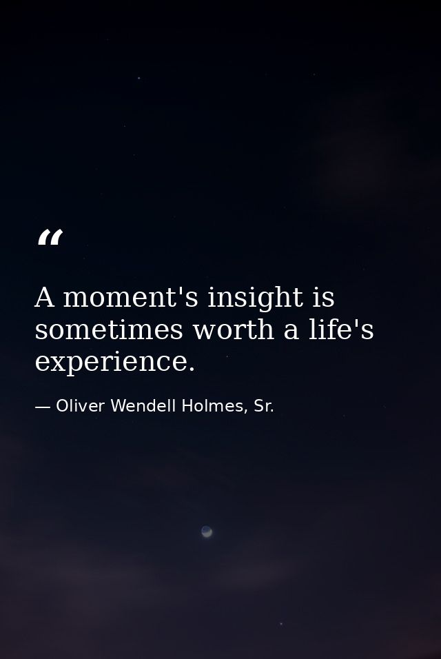 A moment's insight is sometimes worth a life's experience. — Oliver Wendell Holmes, Sr.