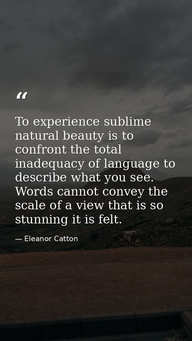 To experience sublime natural beauty is to confront the total inadequacy of language to describe what you see. Words can — Eleanor Catton