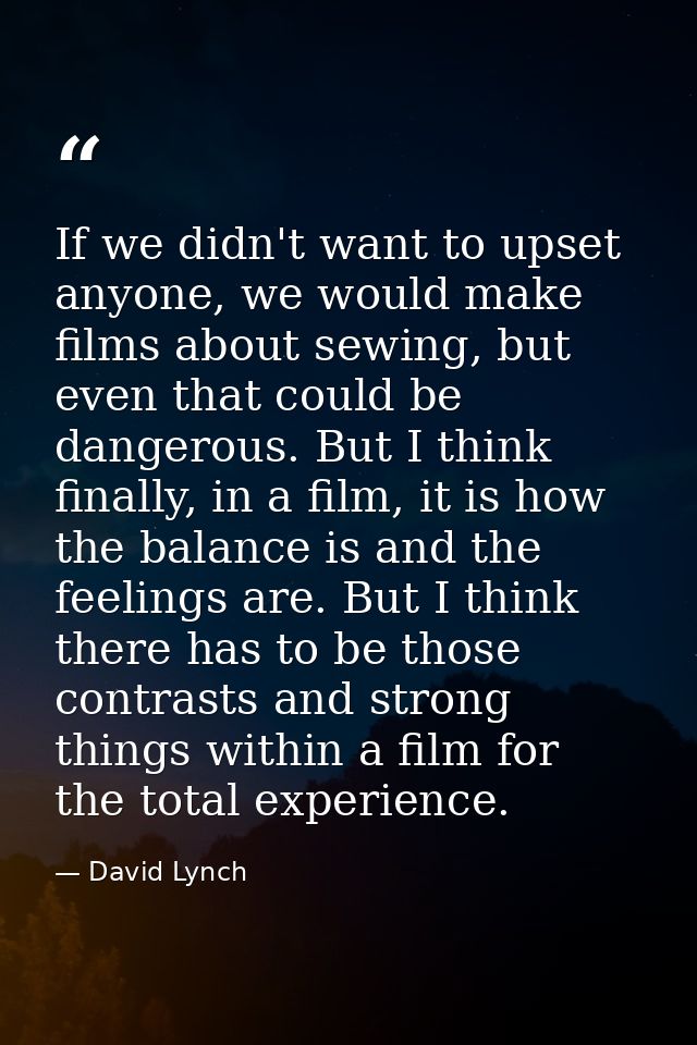 If we didn't want to upset anyone, we would make films about sewing, but even that could be dangerous. But I think final — David Lynch