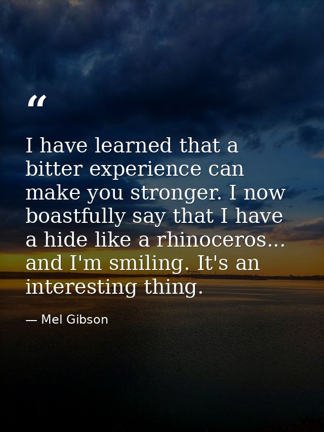 I have learned that a bitter experience can make you stronger. I now boastfully say that I have a hide like a rhinoceros — Mel Gibson