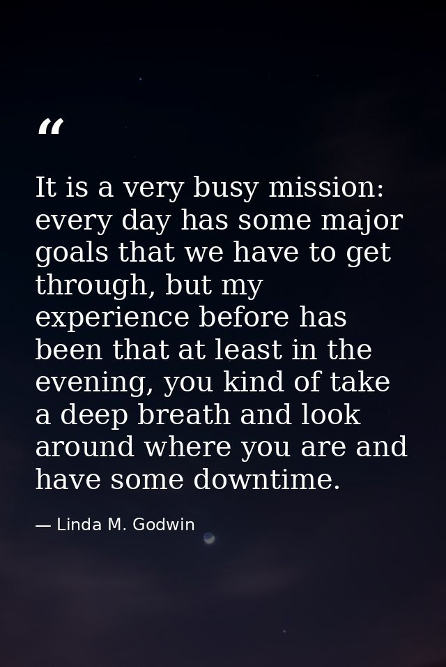 It is a very busy mission: every day has some major goals that we have to get through, but my experience before has been — Linda M. Godwin
