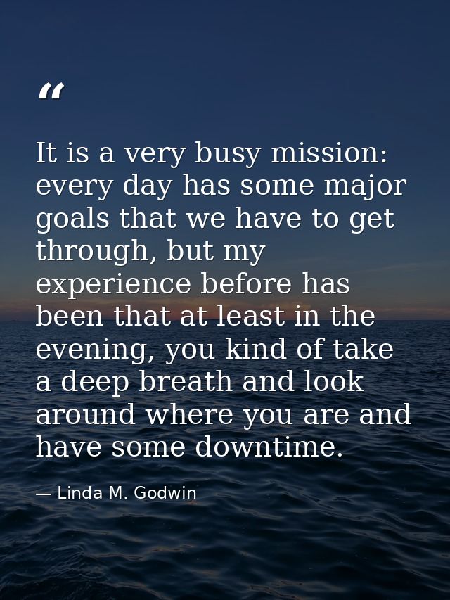 It is a very busy mission: every day has some major goals that we have to get through, but my experience before has been — Linda M. Godwin