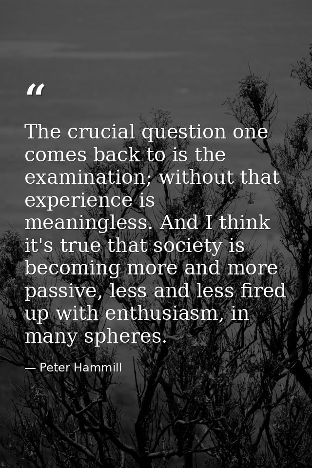 The crucial question one comes back to is the examination; without that experience is meaningless. And I think it's true — Peter Hammill