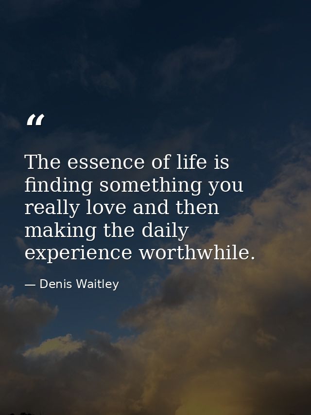 The essence of life is finding something you really love and then making the daily experience worthwhile. — Denis Waitley