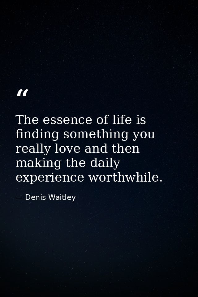 The essence of life is finding something you really love and then making the daily experience worthwhile. — Denis Waitley