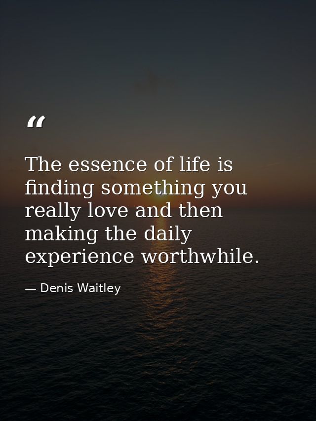 The essence of life is finding something you really love and then making the daily experience worthwhile. — Denis Waitley