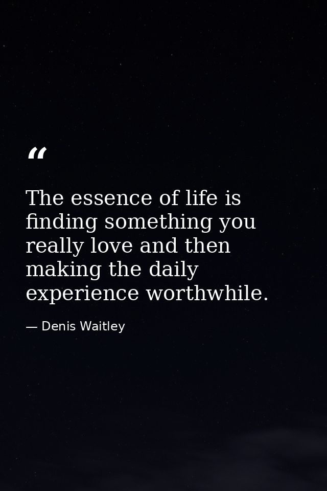 The essence of life is finding something you really love and then making the daily experience worthwhile. — Denis Waitley