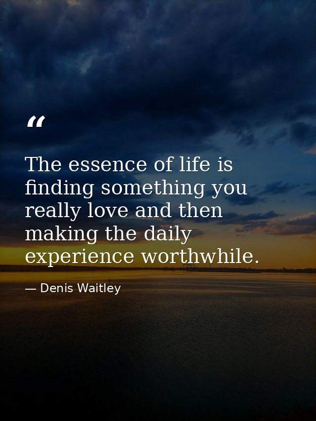 The essence of life is finding something you really love and then making the daily experience worthwhile. — Denis Waitley